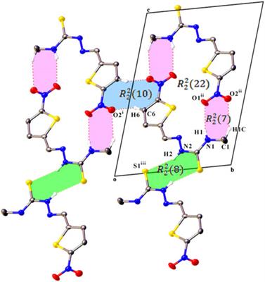 Half-Sandwich Arene Ruthenium(II) Thiosemicarbazone Complexes: Evaluation of Anticancer Effect on Primary and Metastatic Ovarian Cancer Cell Lines